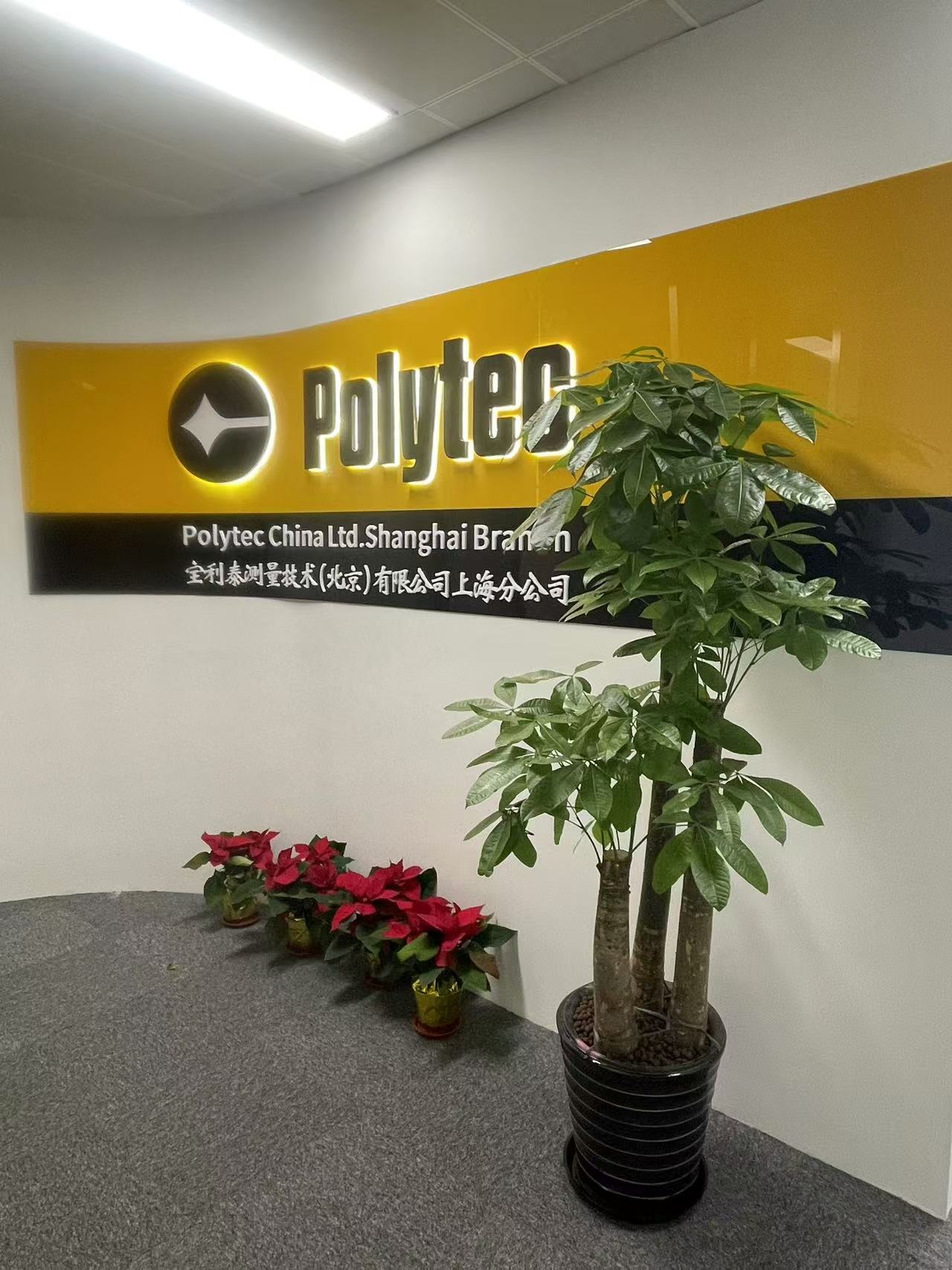 上海分公司正式开业!新征程启航,邀您共襄盛举。璀璨开幕,见证辉煌!